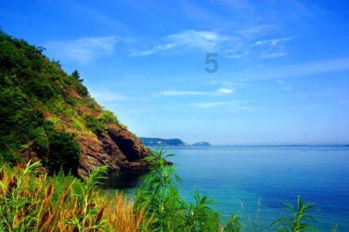 细胞分裂5