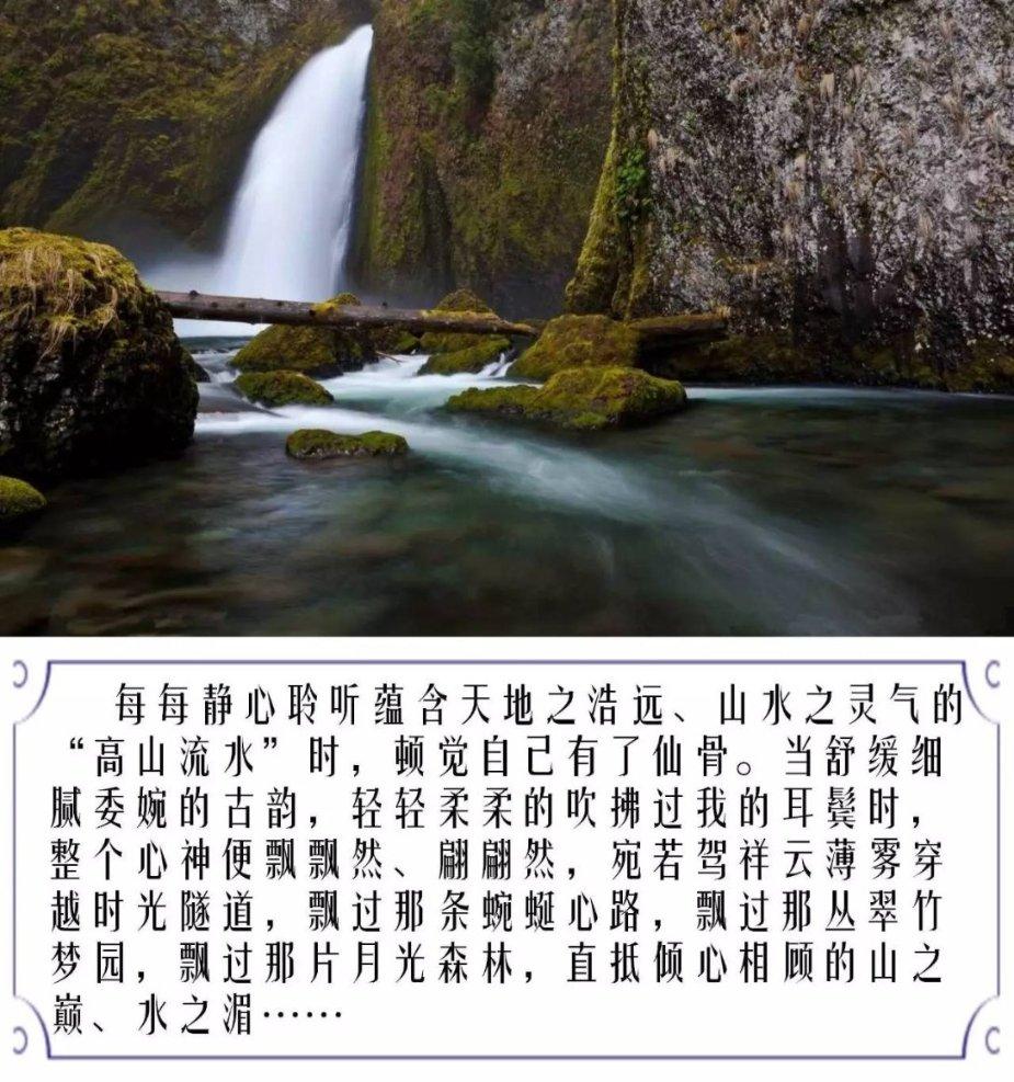意想不到的旅程